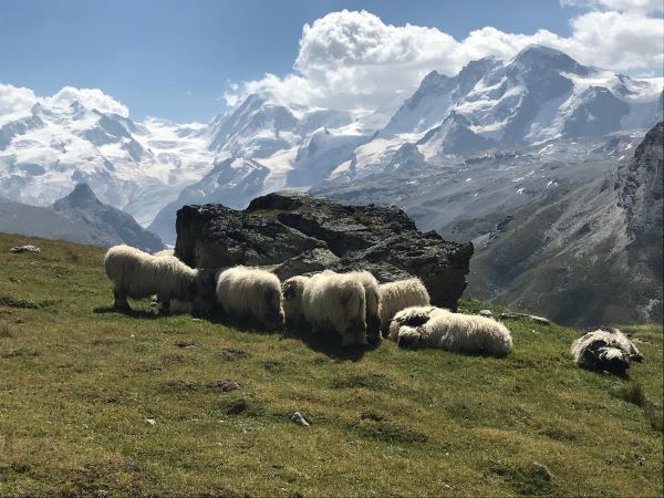 Family holidays in Valais