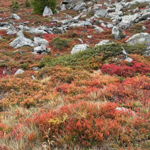 Gite à louer avec sauna dans le Valais Chalet à louer avec feu ouvert