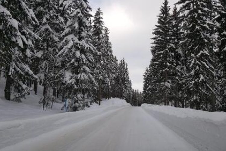 Chalet te huur voor skiën