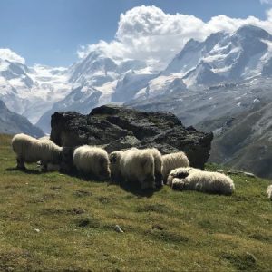 Family holidays in Valais